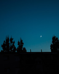 nocne niebieskie niebo na tle drzew i dachu © Katarzyna