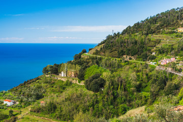 Fototapeta na wymiar Terraced green hills with sparse houses on the Italian Riviera, under the summer sun. Scenic landscape in Cinque Terre, Italy.