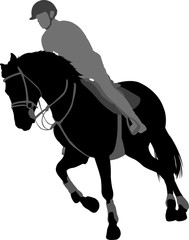 horse riding,equestrian sport silhouette.
