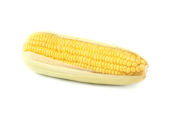 Raw yellow corn isolated on white background.