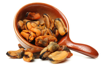 Dry Mussel on white background 
