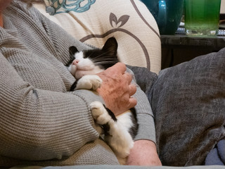 oldr woman pets black and white cat