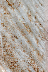 plastic water sheeting covered in termite droppings and wood shaving