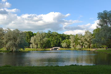 Summer sunny landscape on the pond in the park. 