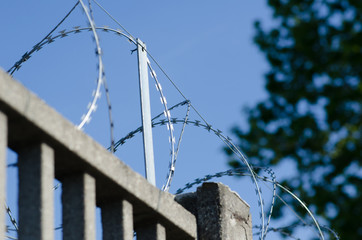 American barbed wire, called razor wire, for border.