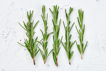 Fresh green sprig of rosemary isolated on a white  textured background. sprigs of rosemary of different shapes. Rosemary branch