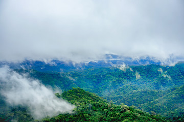 The rainforest mountains in the morning are covered with fog.