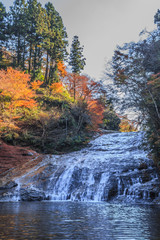 秋の養老渓谷の粟又の滝の風景
