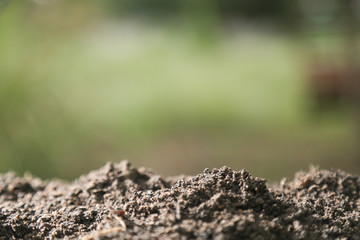 Soil texture with green background for template design