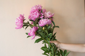 Pink peonies