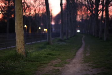 Einsamer Fußweg am Abend