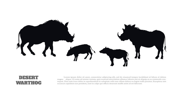 Black silhouette of african boar on white background. Isolated image of desert warthog family. Landscape with wild animals of Africa. Savannah nature