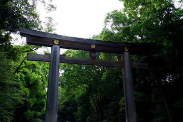 torii of shrine in japan