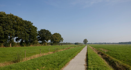 Fototapeta na wymiar Koekange drente Netherlands. Bicycle path