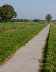Fototapeta na wymiar Koekange drente Netherlands. Bicycle path