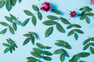 Floral pattern made of red roses, green leaves, branches on pastel blue background. Flat lay, top view. Nature background. Pattern of flowers. Flowers pattern texture