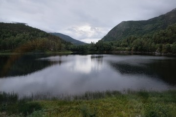 Obraz premium Norwegian fishing river Hallingdalselva with green forest in the background against blue sky