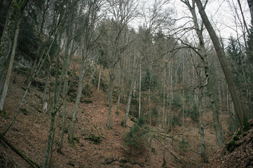 Last signs of winter in Moravsky Kras