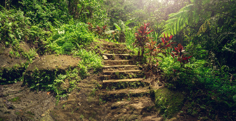 Footpath in the jungle. Bali trip. Stone steps. Panorama.