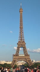 Fototapeta premium Eiffel Tower - Paris 