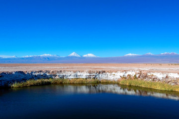 Salt Flat Lagoon Ojos del Salar in Atacama desert near San Pedro de Atacama, Antofagasta Region, Chile © nomadkate