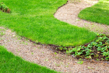 Pebbled path in the garden with a flower bed and a green lawn, close up landscaped on a summer day nobody.