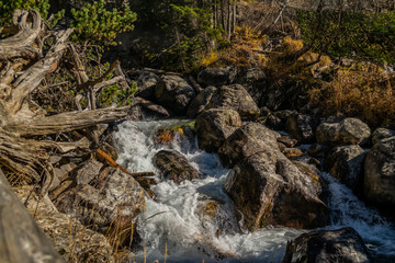 fast mountain stream in autumn forest