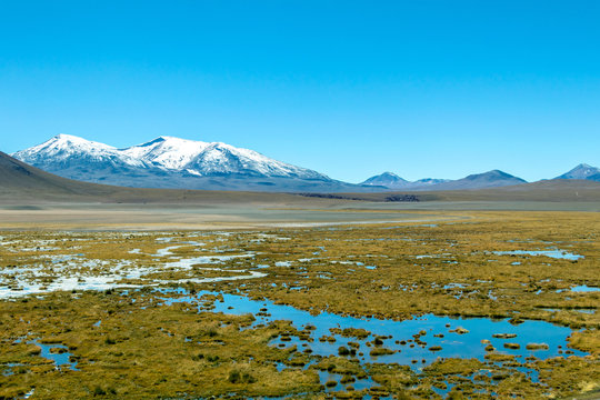 Putana River (Vado Rio Putana), San Pedro de Atacama, the Atacama Desert, Antofagasta, Chile