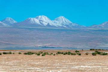Tebinquinche Lagoon in Atacama Salt Flat, Chile