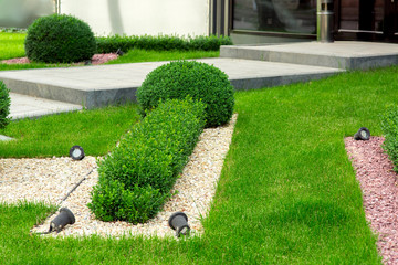 Landscaping with mulching pebbles on a lawn with boxwood bushes in the background. stone pedestrian...