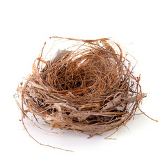 Empty bird nest isolated over a white background.