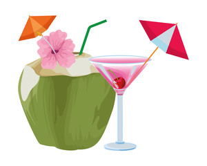 Tropical fruit cocktail icon cartoon