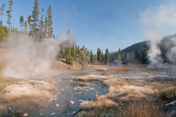 Fototapeta na wymiar Yellowstone National Park, nature