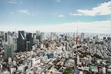 Fototapeta premium Tokyo View