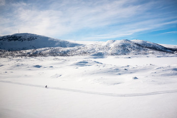 Fototapeta na wymiar Scenic view of frozen Norwegian plains.