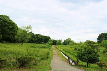Fototapeta na wymiar 風景　道　緑　川　公園　茨城