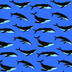 Fototapeta premium Cartoon whale - simple trendy pattern with whalel. Cartoon vector illustration for prints, clothing, packaging and postcards.