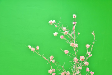 background with artificial roses