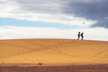 Shadows of two young girls walking on the sand dune.