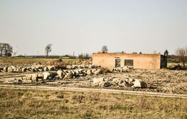 Fototapete bei efototapeten.de bestellen   