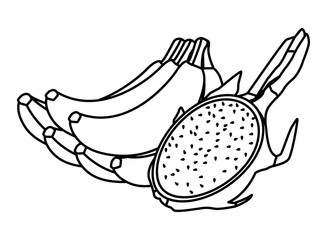 exotic tropical fruit icon cartoon in black and white