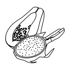 exotic tropical fruit icon cartoon in black and white