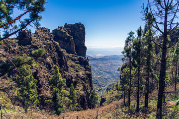 Fototapeta na wymiar Beautiful mountain and forest view (with dark burnt trees) from roque nublo trek path, Gran Canaria, Canary island in Spain.