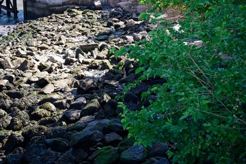 Obraz premium Added support to a path along the East River, New York City