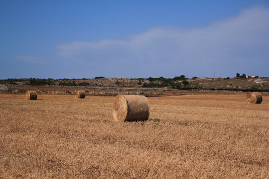 Balle di fieno