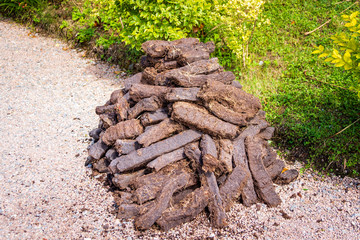Fototapeta na wymiar Pile of brown peat bricks drying in sunlight on green grass