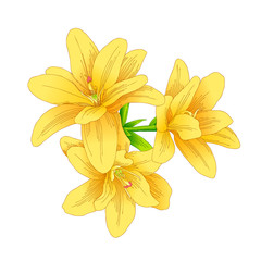 Fototapeta na wymiar bouquet of yellow flower. Drawing with line-art on white backgrounds. Vector illustration.