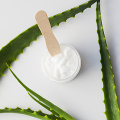 Aloe vera leaves with a beauty cream bottle