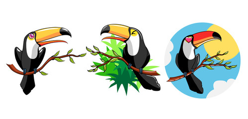 toucan vector set graphic design © pisut