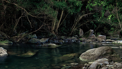 Calm tropical creek flows among rocks, boulders and exotic plants. Crystal Cascade. Cairns, Far North Queensland, Australia.-Picture.